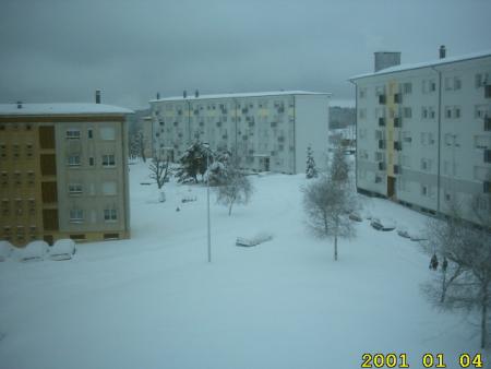 neige