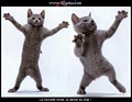 dance